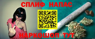 шишки Моздок